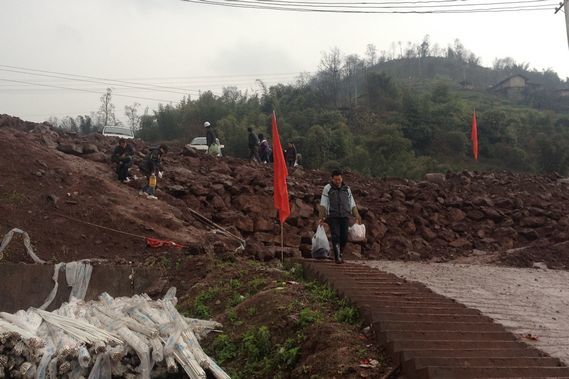 “扛菜”小(xiǎo)分(fēn)隊在行(xíng)動