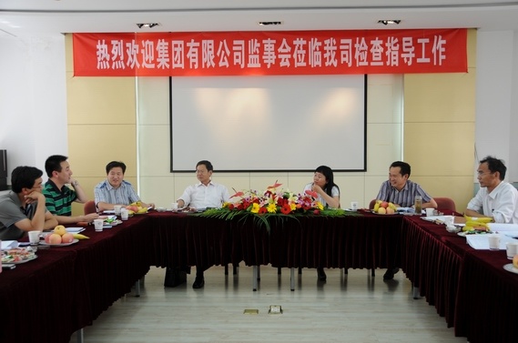 集團公司監事(shì)會(huì)到(dào)公司檢查工(gōng)作(zuò)