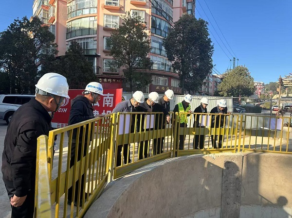 雙柏縣委書(shū)記金(jīn)鴻調研公司項目