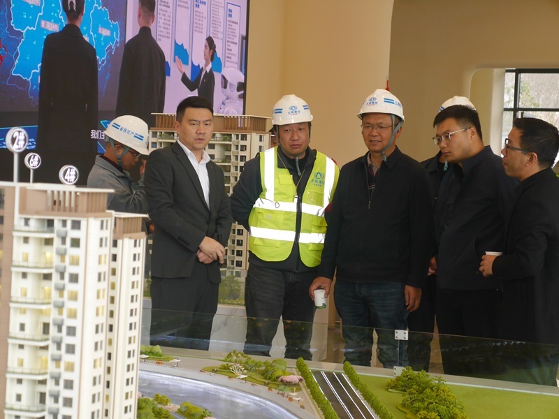 楊國(guó)文(wén)調研集團重點項目