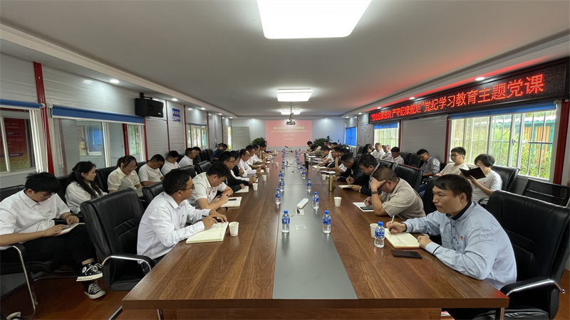 公司副總經理(lǐ)馬偉講授黨紀學習(xí)教育專題黨課